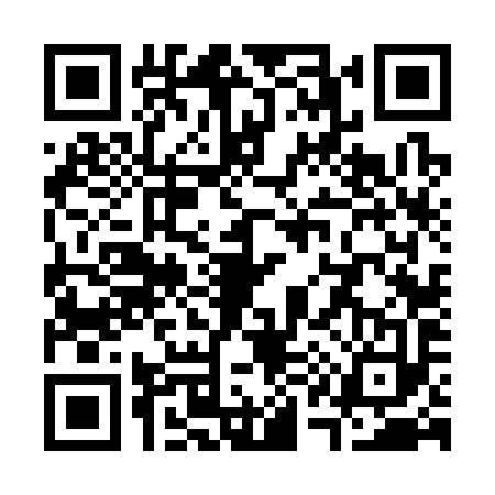 QR code for S163938