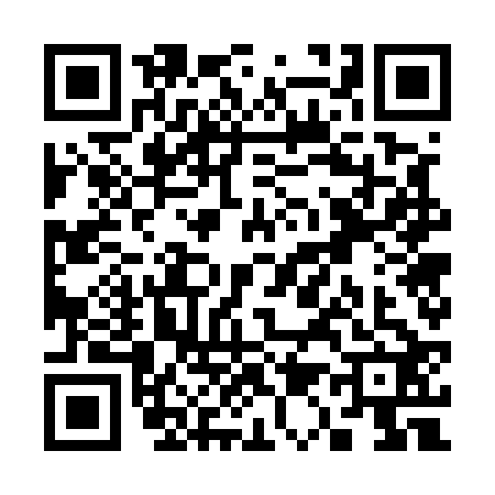 QR code for S175221
