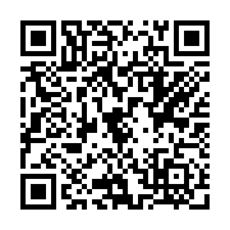 QR code for S233517