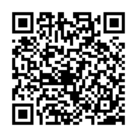 QR code for S238376