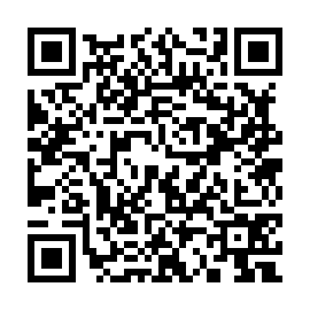 QR code for S238746