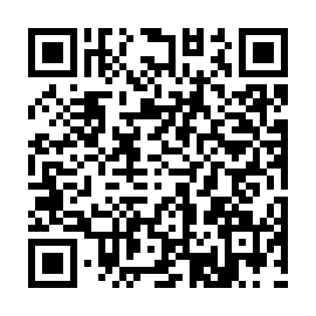 QR code for S243411