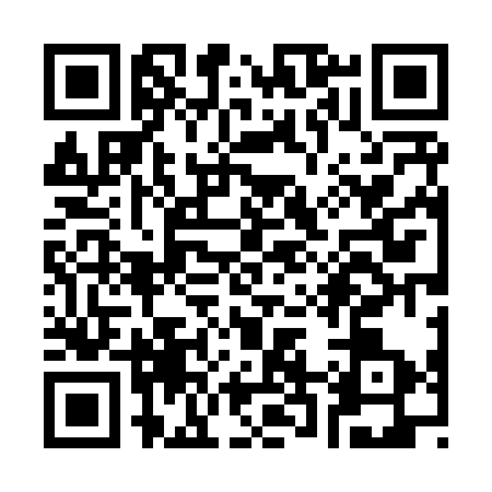 QR code for S248339