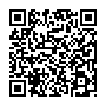 QR code for S295565