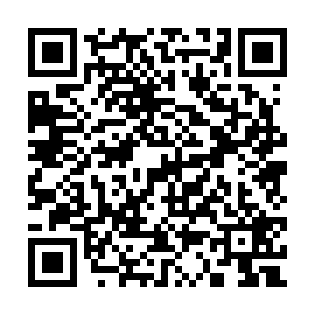 QR code for S302291