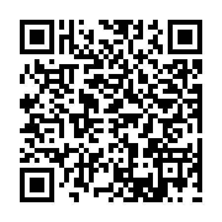 QR code for S303571