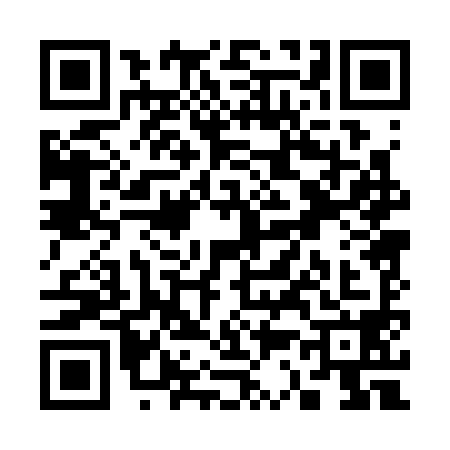 QR code for S303981