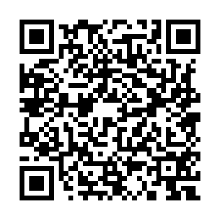 QR code for S309545
