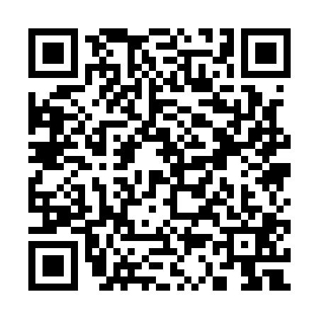 QR code for S311017