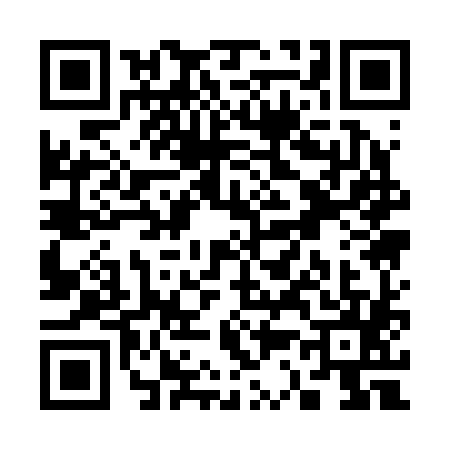 QR code for S312855