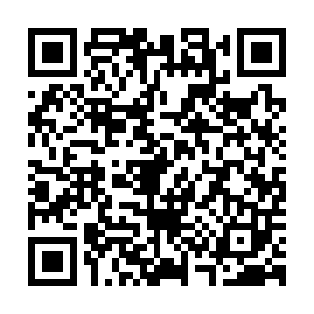 QR code for S313035