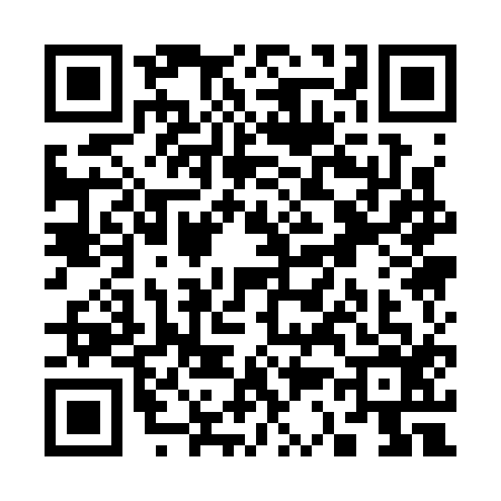 QR code for S313165