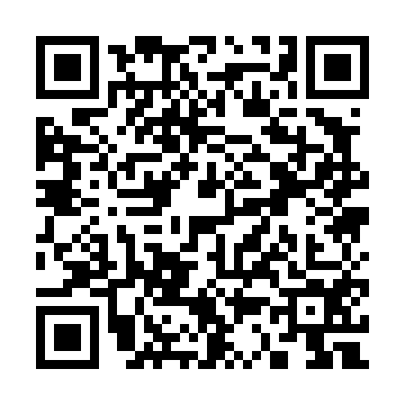 QR code for S314542