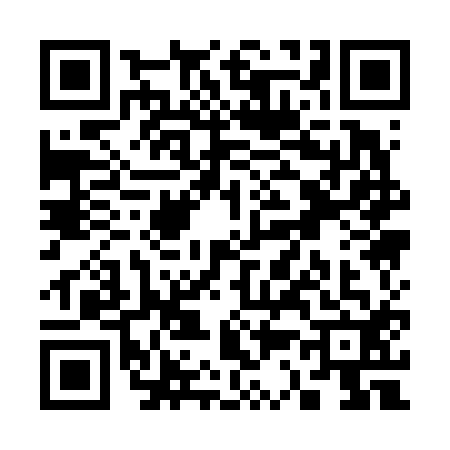 QR code for S316127