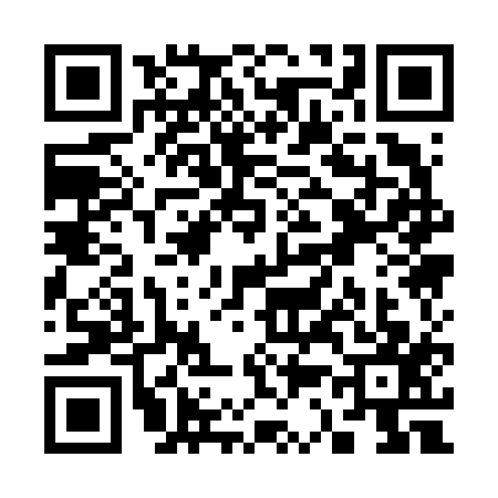 QR code for S316173