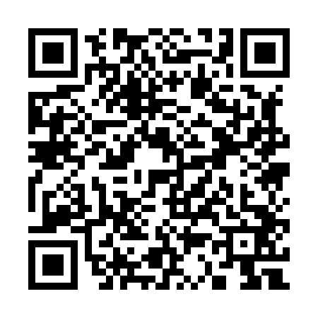 QR code for S318424