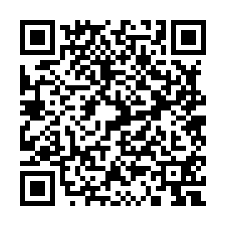 QR code for S328106