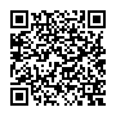 QR code for S329211