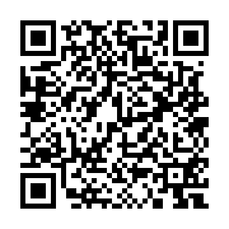 QR code for S335505