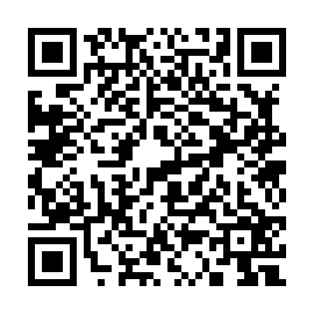 QR code for S338262
