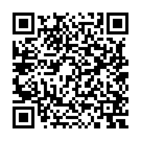 QR code for S338424