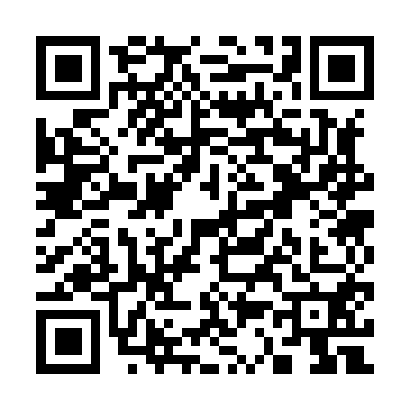 QR code for S338505