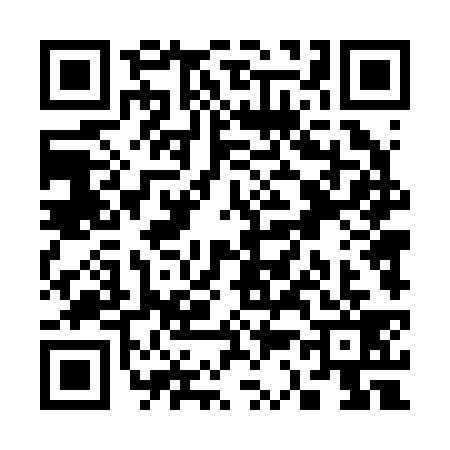 QR code for S342393