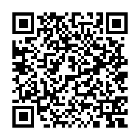 QR code for S355313