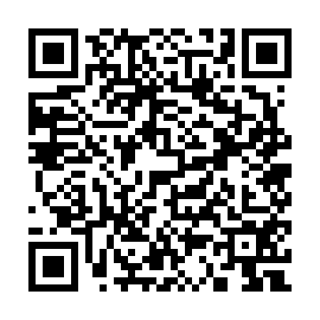QR code for S376540