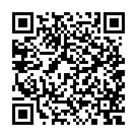 QR code for S377876