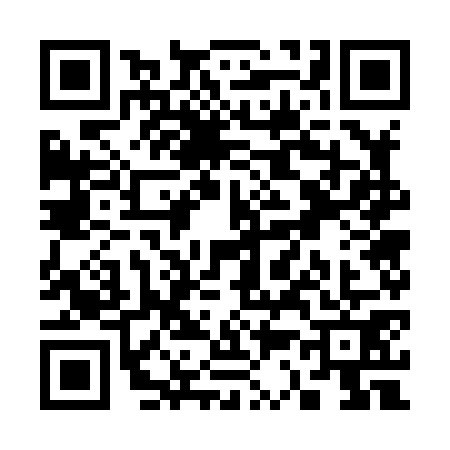 QR code for S378712
