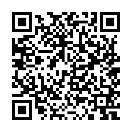 QR code for S379406