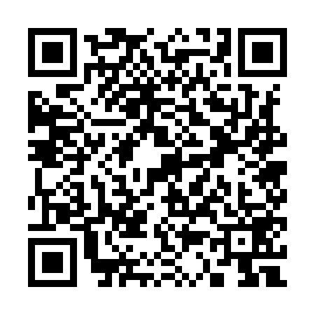 QR code for S379595