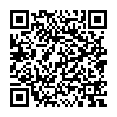 QR code for S381189
