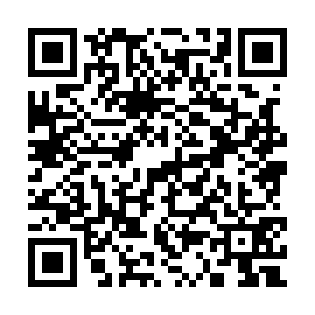 QR code for S381710