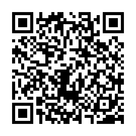 QR code for S381714