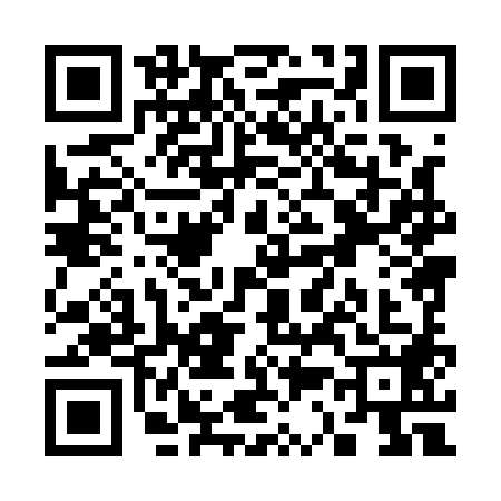 QR code for S381881