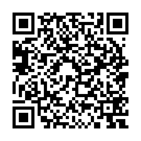 QR code for S382596