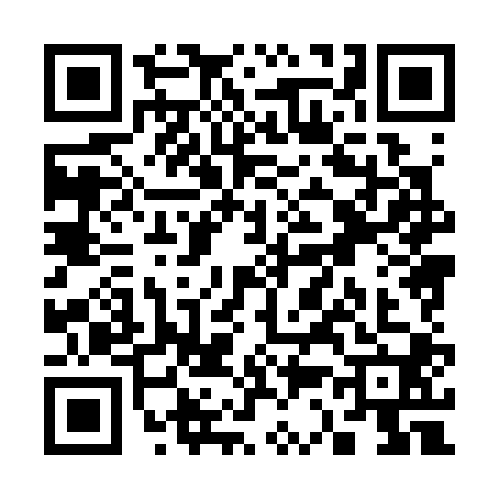 QR code for S383009
