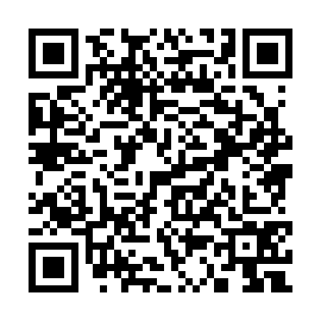 QR code for S383742