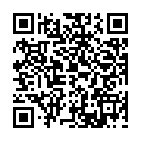 QR code for S383774