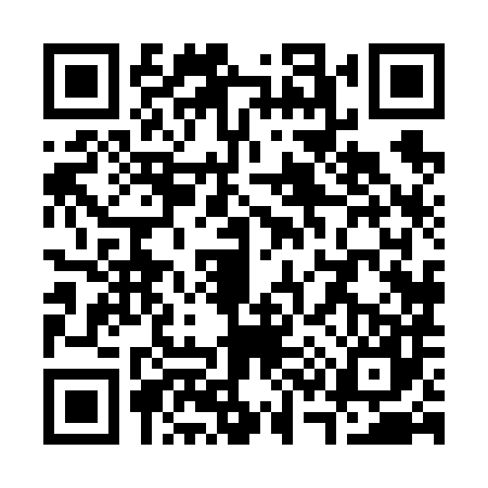 QR code for S386872