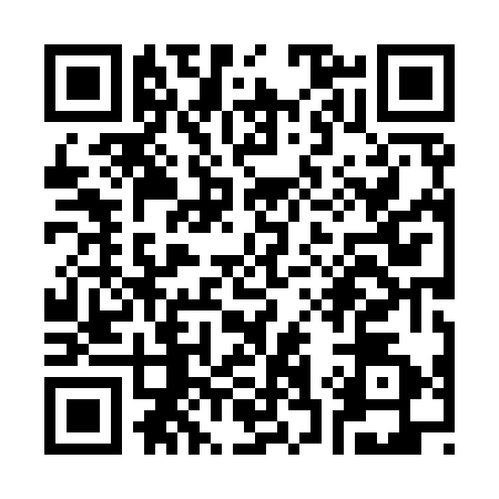 QR code for S389725