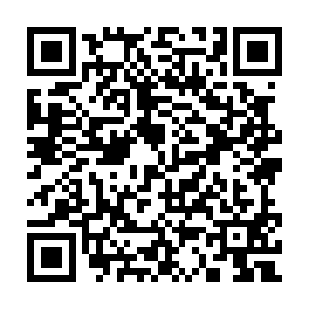 QR code for S390919