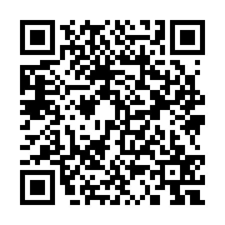 QR code for S393376