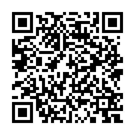 QR code for S397236