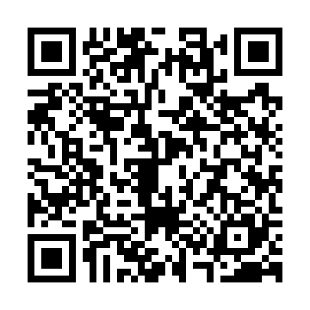 QR code for S397251