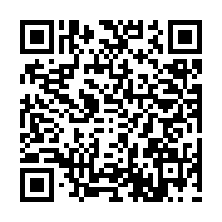 QR code for S403310