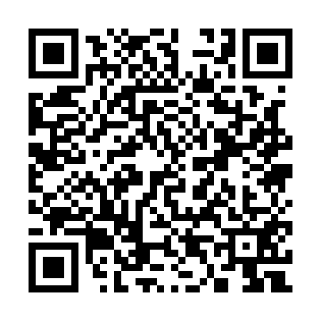 QR code for S411511
