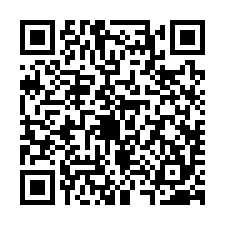 QR code for S423941